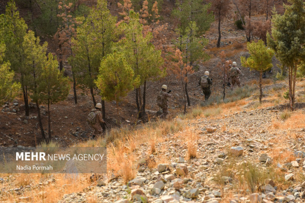 اولین کمپ آموزشی جانفدایان در البرز افتتاح شد